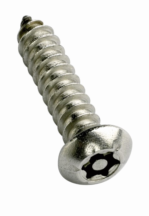 SECURITY STS SCREW BUT HD SS304 10G X 1-1/4 POST TORX ( T25)